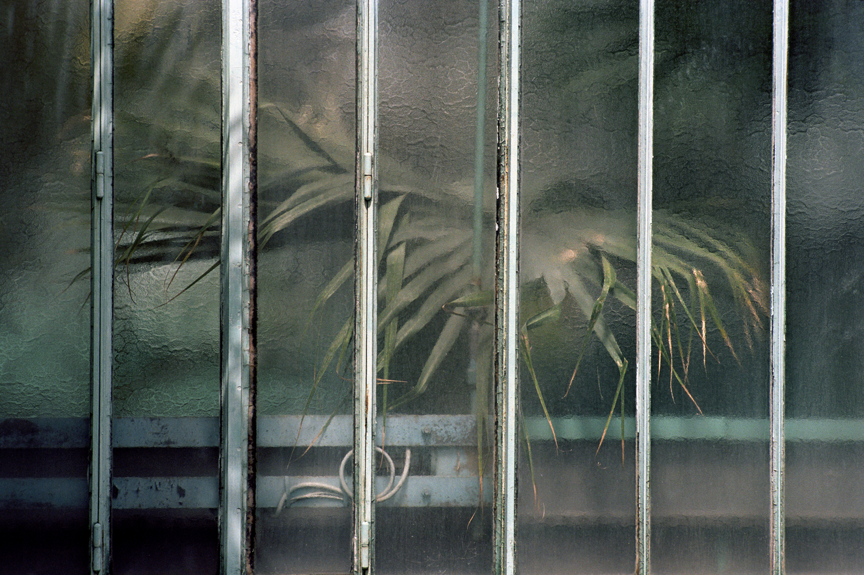 SofijaSilvia: Transmissions